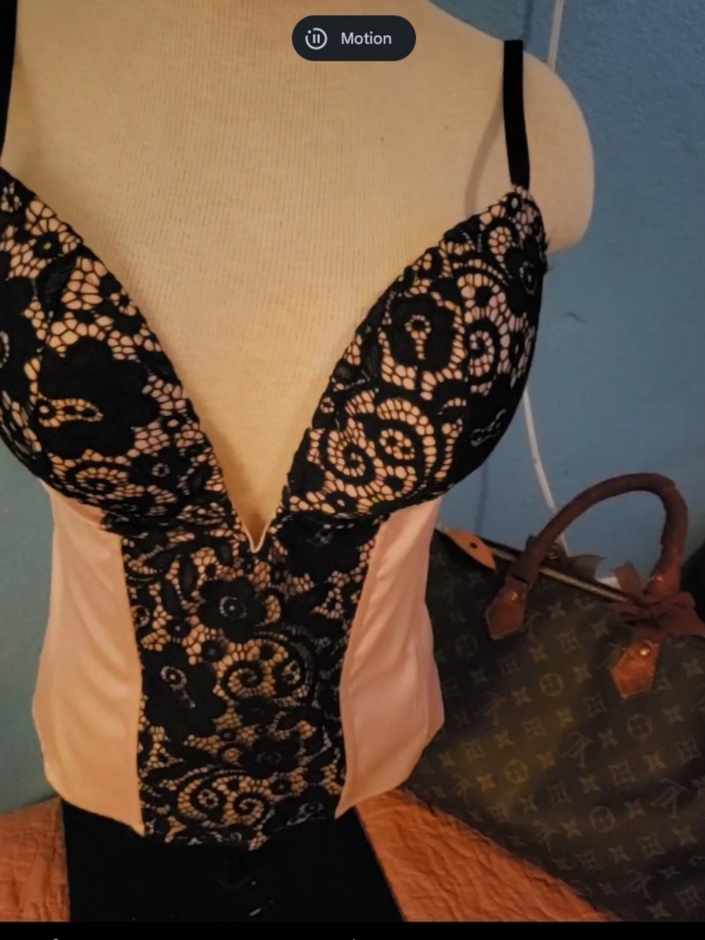 Lace Plunge Bodysuit in Blush and Black